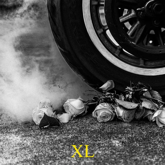 Yellow Roses XL cover art